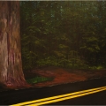 Redwoodsforest, 2015, Patric Larsson