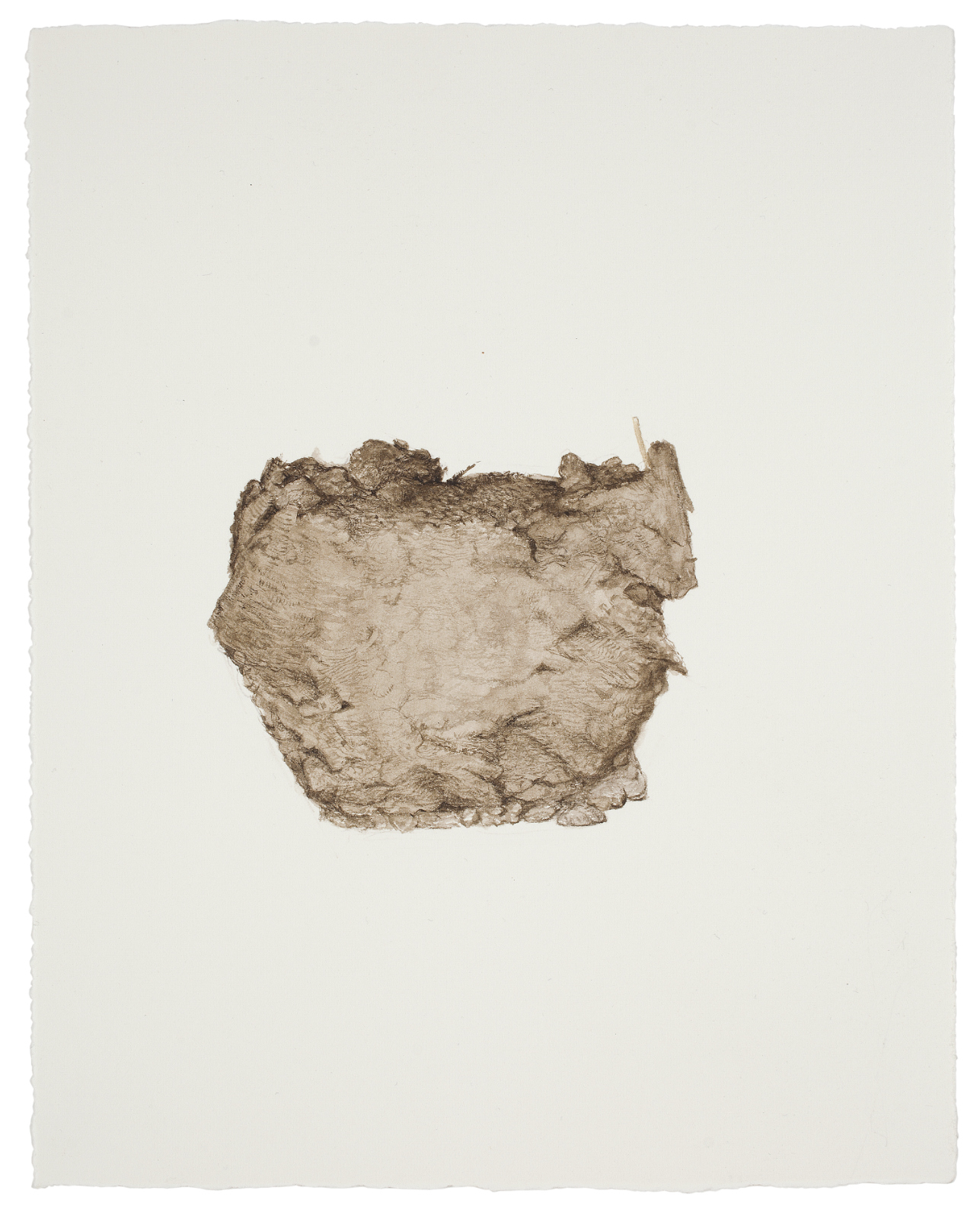 Thorbjørn Sørensen, "From nature", 2013, water color on paper,  25 x 20 cm.