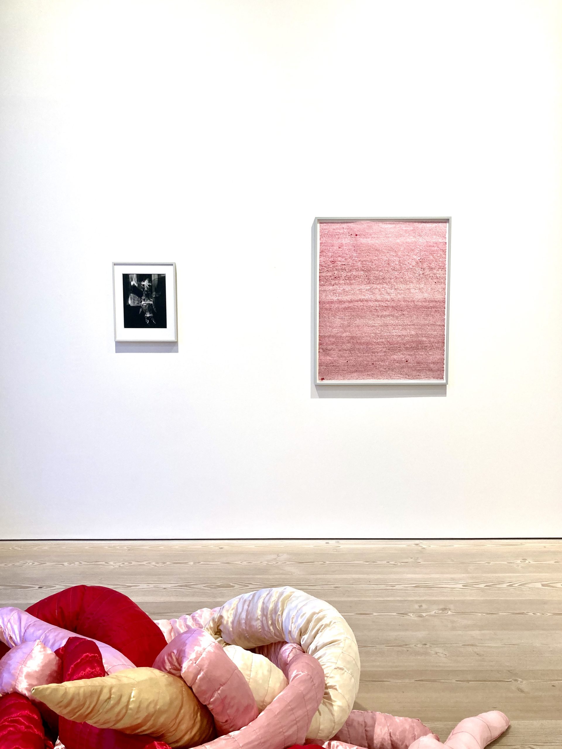 Nadja Bournonville, installation view: "A worm crossed the street", Galleri Flach 2023