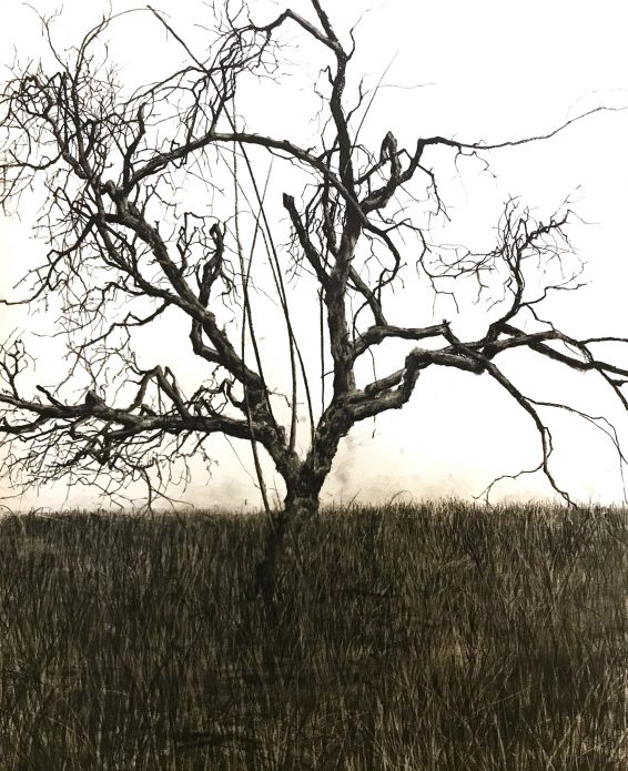 Utskick, Patrick Nilsson_Mot himmelen_2019_torrpastell på papper_30x30 cm, utskick kopia Patrick Nilsson, "Mot himmelen", 2019, torrpastell på papper, 65x50 cm